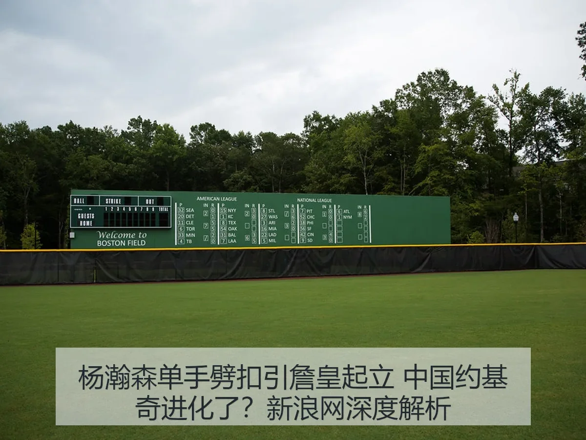 杨瀚森单手劈扣引詹皇起立 中国约基奇进化了？