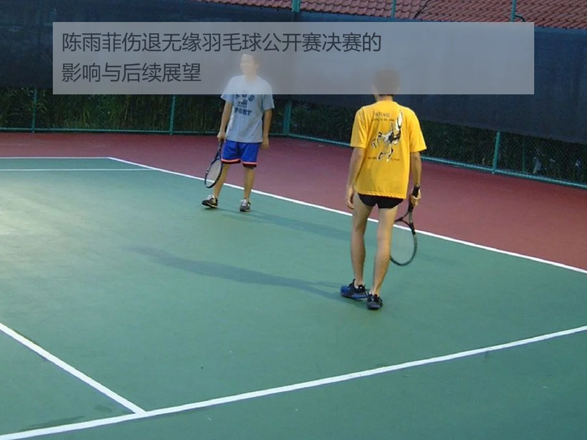陈雨菲伤退无缘羽毛球公开赛决赛的影响与后续展望